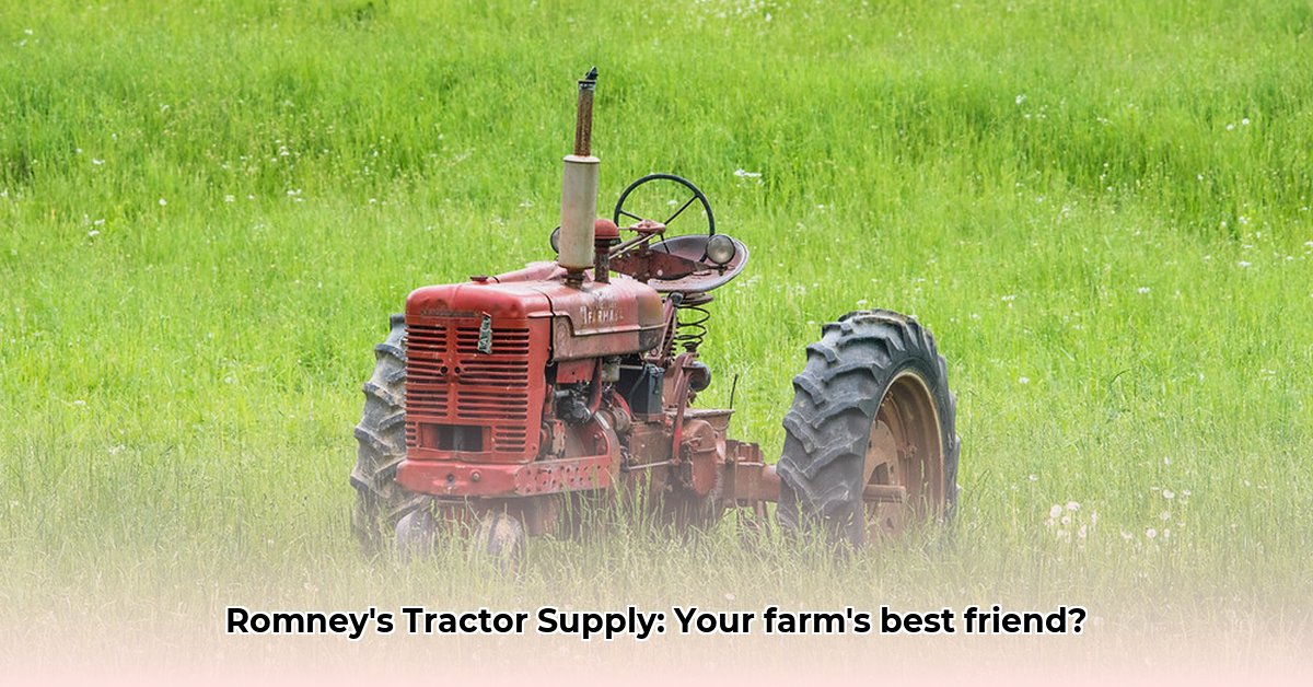 romney-wv-tractor-supply